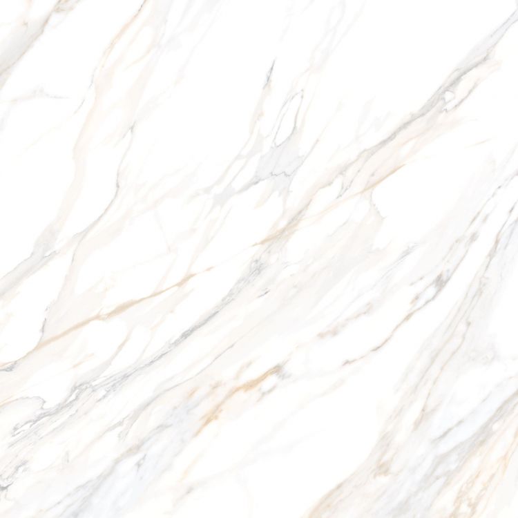 Aurum Calacatta Polished 36 x 36